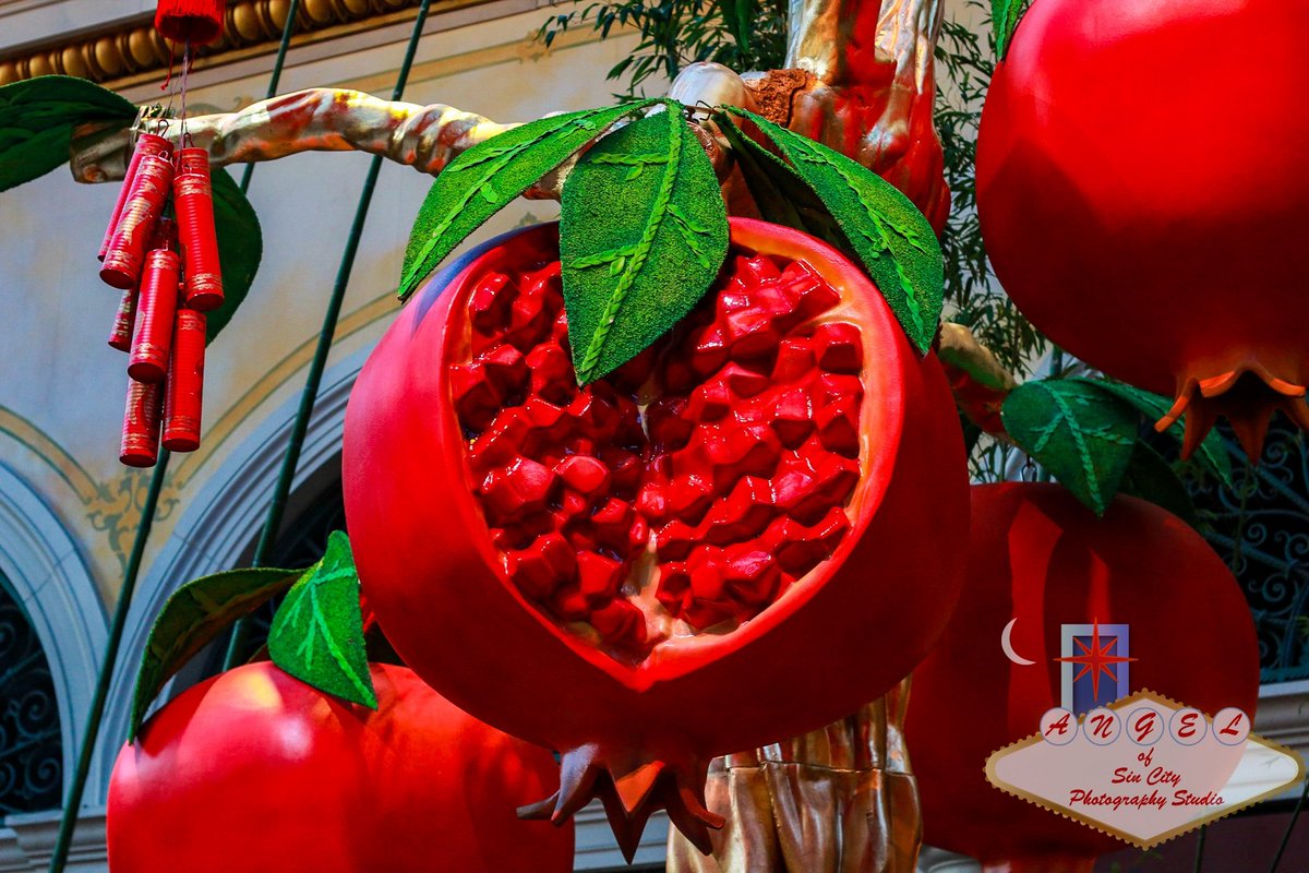 Careful for the low hanging fruit.

#Fruit #display #Bellagio #art #sweet #pomegranate #tree #branch #yummy #ArtOfTheDay #BestOfTheDay #BestOfTheDay #LasVegas #SinCity #juicy #LasVegasStrip #vacation #tourist #tourism