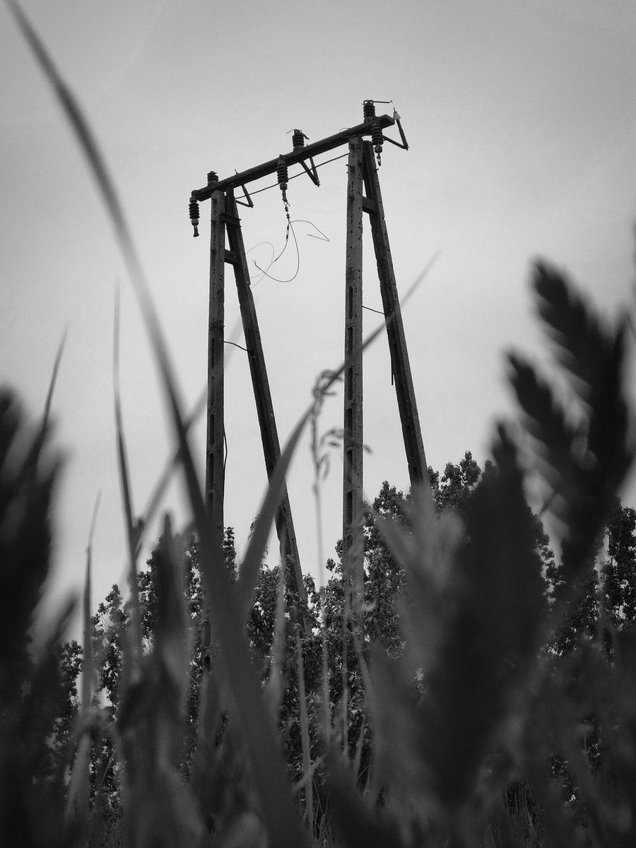 Galareteg's tweet photo. Took some more photos today!
There was no sun so I had a good chance to take some black and white photos :DD

#photography #PHOTOS #photosession #NaturePhotography #blackandwhitephotography #blackandwhite https://t.co/lU2Vdb4l46