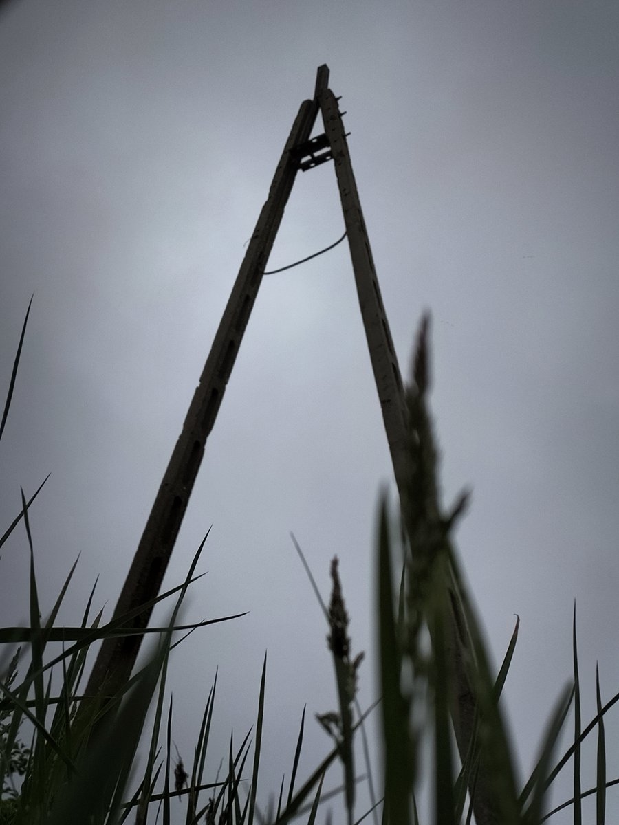 Galareteg's tweet photo. Took some more photos today!
There was no sun so I had a good chance to take some black and white photos :DD

#photography #PHOTOS #photosession #NaturePhotography #blackandwhitephotography #blackandwhite https://t.co/lU2Vdb4l46