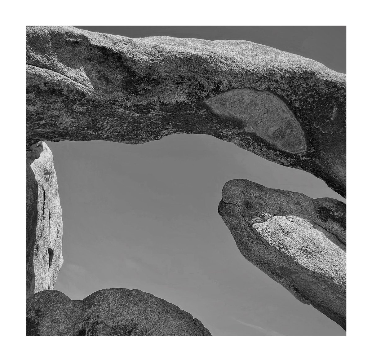 There’s this serpent in #JoshuaTree that was frozen in stone.