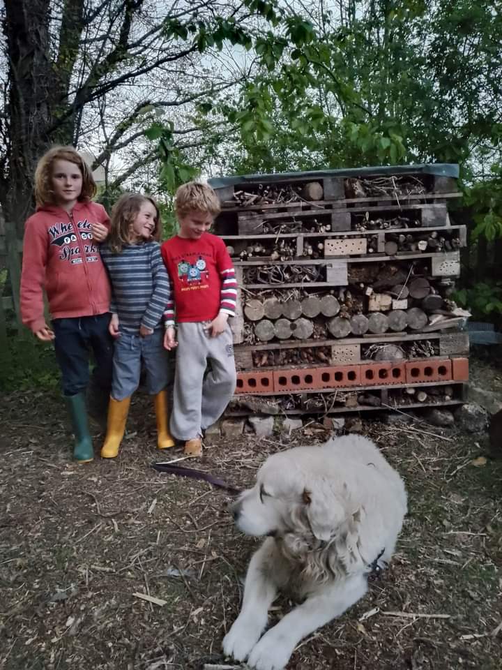 Friends of Stephen's Pond and Berryfields Orchard asked us to make them a #MinibeastHouse 🐌🐛🐞🪳🪱