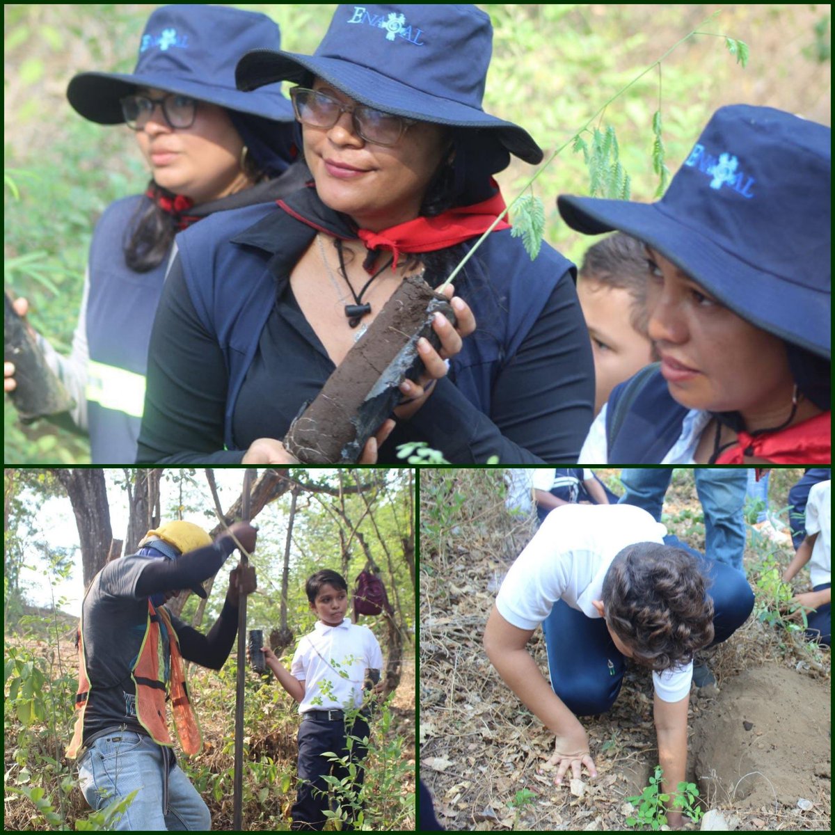 EnacalPisash's tweet photo. Verde, que te quiero verde, ENACAL Telica.
#ENACALPISASH
#NICARAGUA
https://t.co/oBnMeBwJZf https://t.co/ZjrTj5KcQF