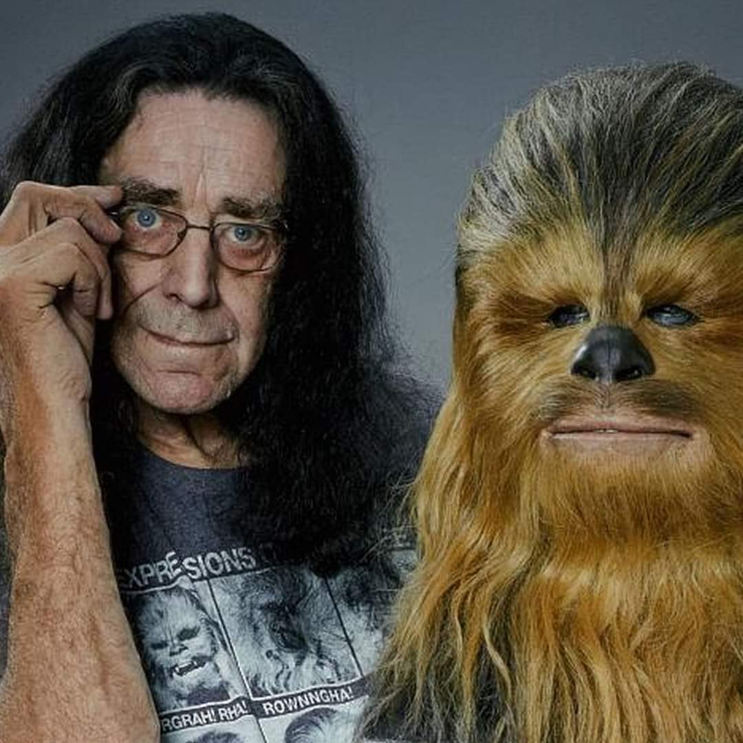 Happy Birthday Memories to the late, great Peter Mayhew. 
Born on May 19th, 1944 