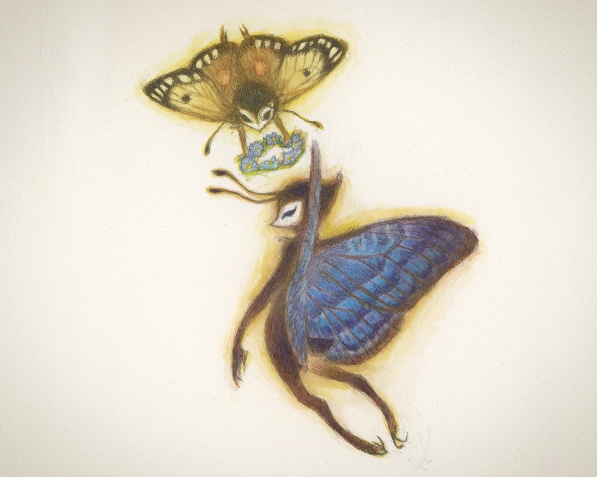 voidbug tweet picture