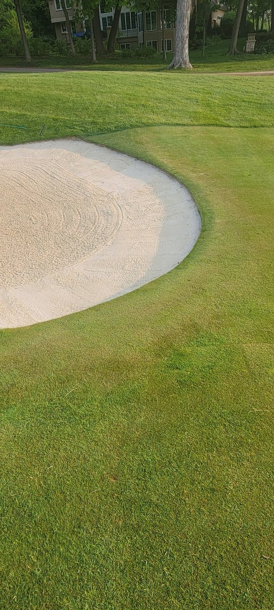 bearpathsup's tweet image. Tight and ready for a great weekend. #teamworkmakesthedreamwork