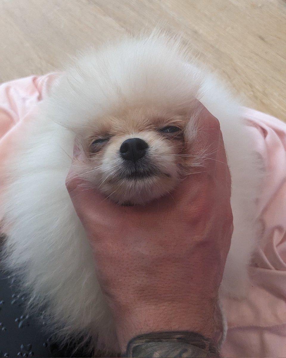 Lyle Rath on Twitter: 