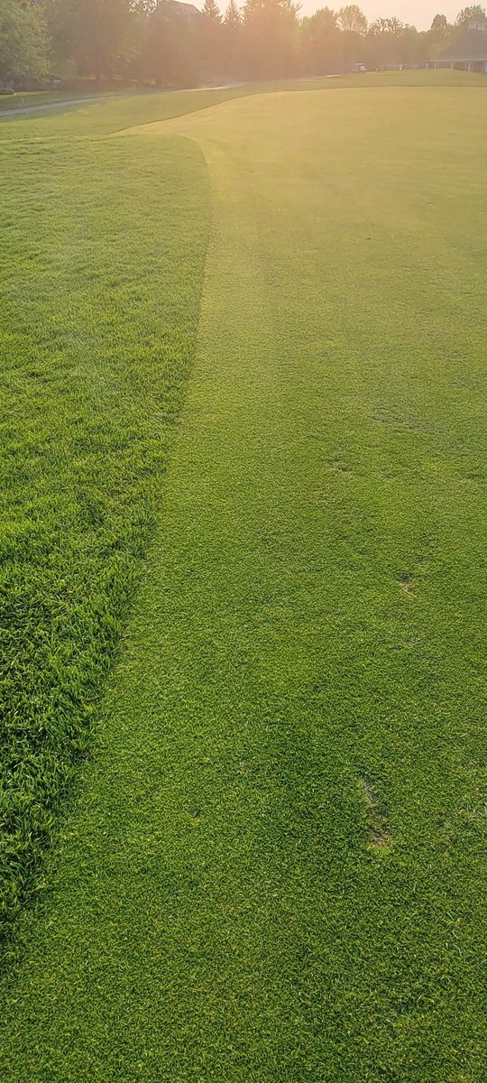 bearpathsup's tweet image. Tight and ready for a great weekend. #teamworkmakesthedreamwork