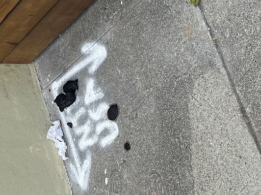 PoopScoopSF's tweet photo. "Human  bio waste near kindergarten school" (Central Sunset, D4) https://t.co/YG7Gn6fcob https://t.co/aPyTwHvPkW