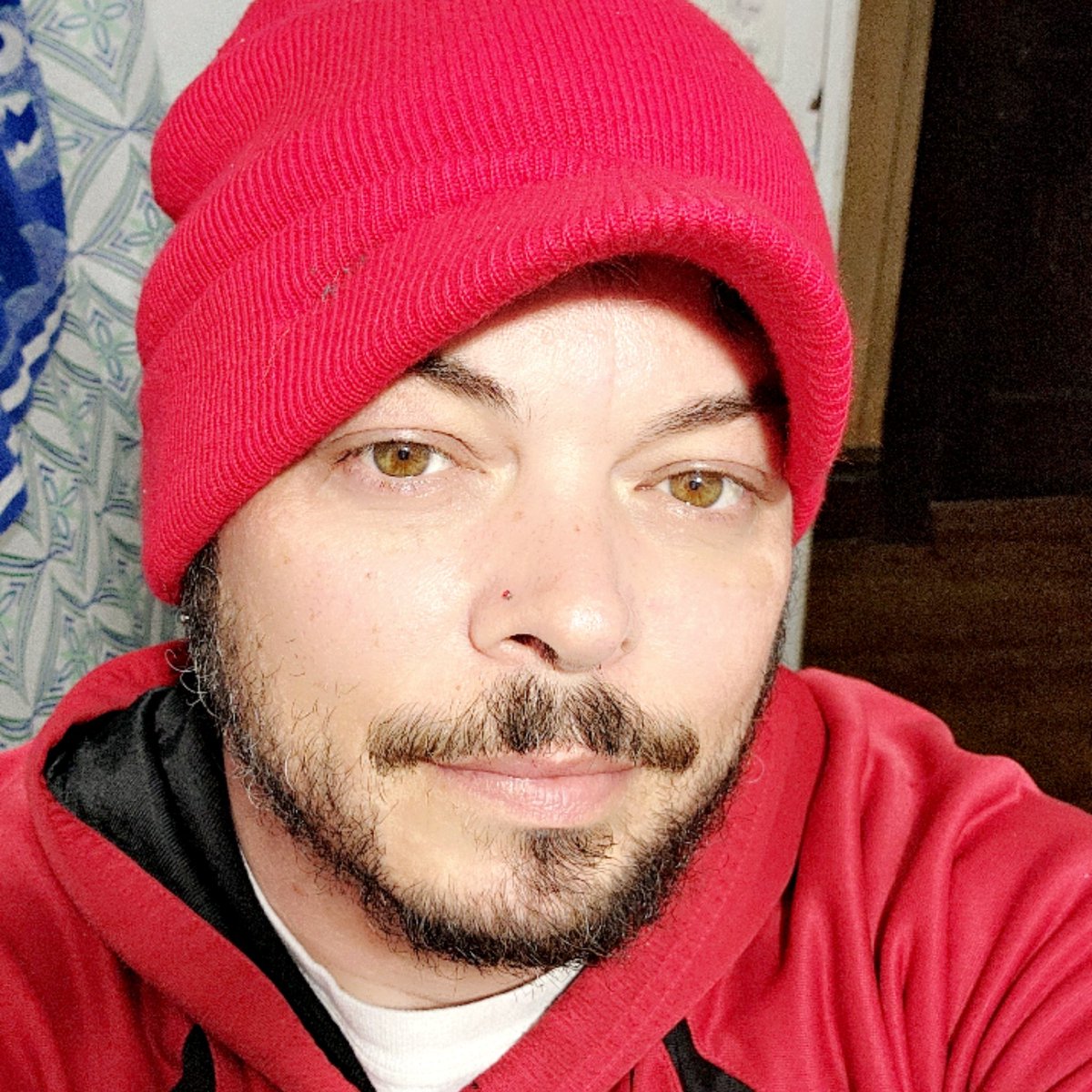 Matt Shearon tweet media