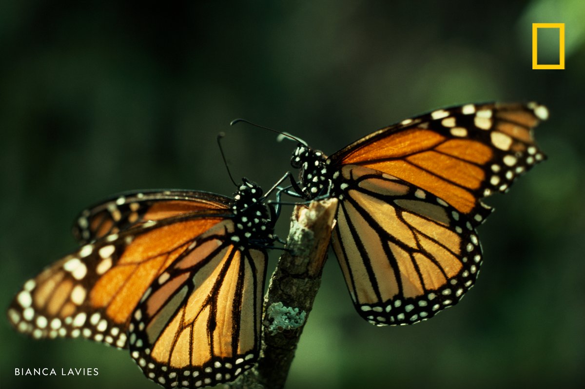 MyWeekendGetaway tweet media