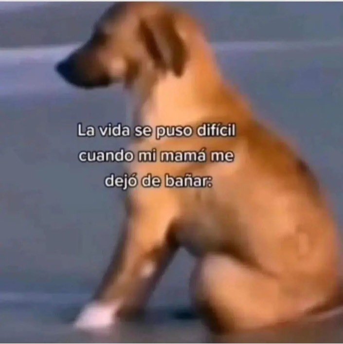 jezucrihto xd tweet media