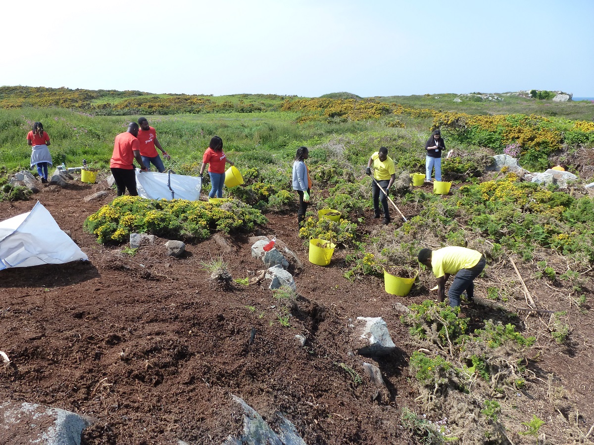 A huge thank you to the fantastic team from @PwC_CI  who cleared the last of the Sour Fig near Beaucette on Friday afternoon. Great work everyone! 😁
#INNSweek #teamwork #conservation #lovenature #SDG15LifeOnLand #SDG15 #esg #csr