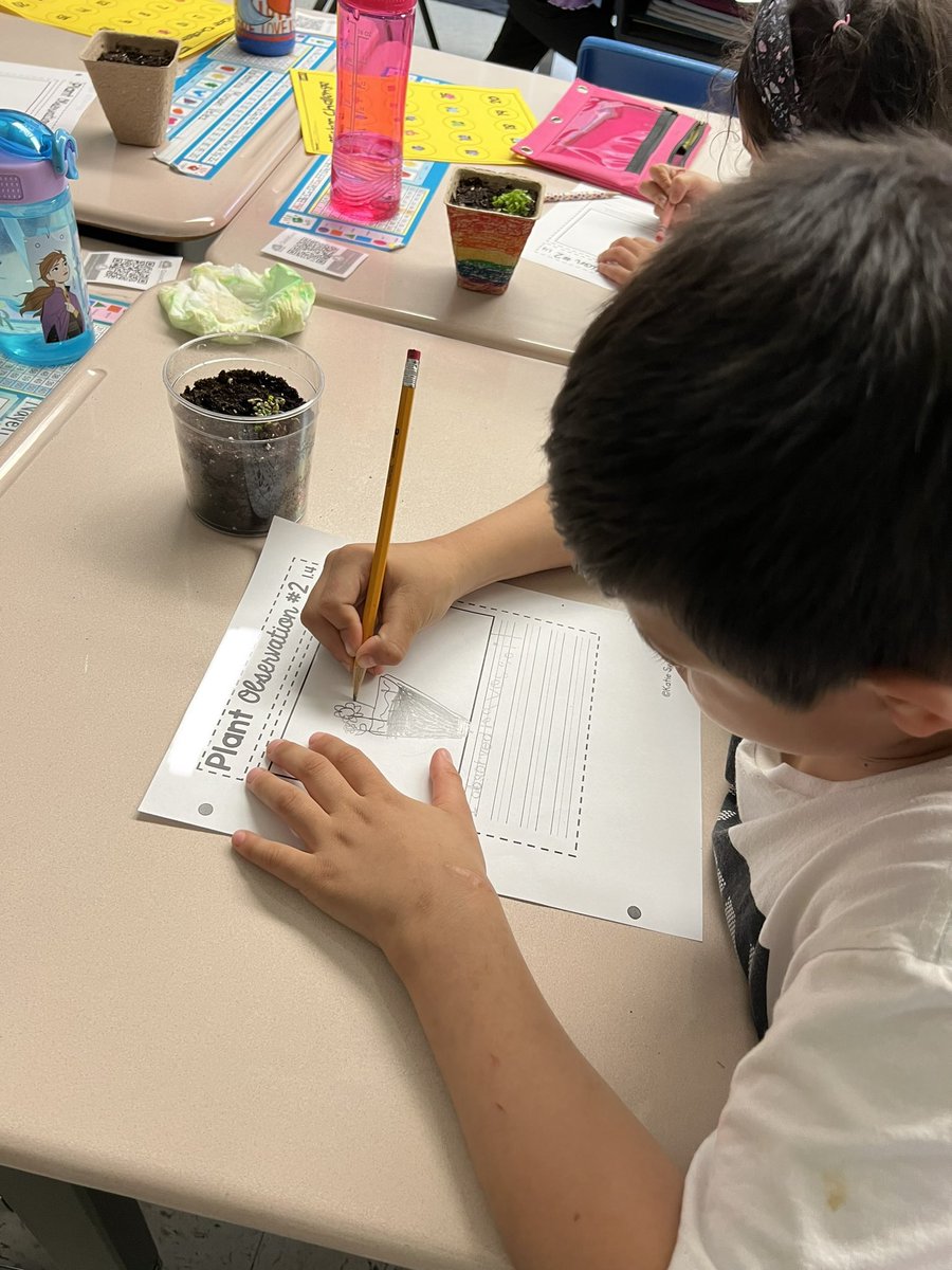 Meghan Kelly tweet media