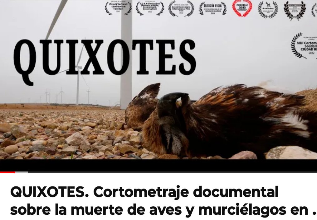Hace más de 10 años iniciamos lo que fue la primera denuncia ambiental a un proyecto "verde". Nos ganamos el rechazo, incluso de nuestros pares. El tiempo da la razón. Planificar, luego implementar! Vean resultados en Europa luego de años de saturación:
youtu.be/eRvMt3Dxyjo