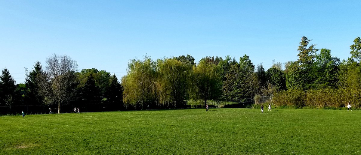 SFAPVNC's tweet photo. Running as they lead the way! Our grade 4/5 class starts each day with 20 min walk/jog in the sunshine. Fanastic for academics, mental/physical health and... behaviour. Others starting to follow the good example!! @A_Cleveland87 #BeingWell #BeingCreative @JulieA_Selby https://t.co/7JuNi0NhNz