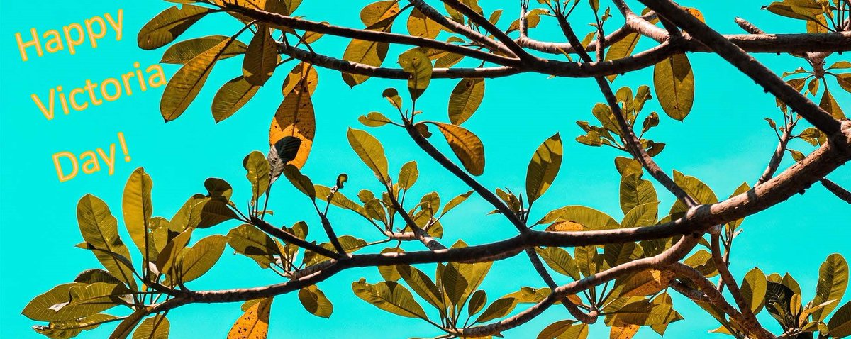 Battle River School Division tweet media