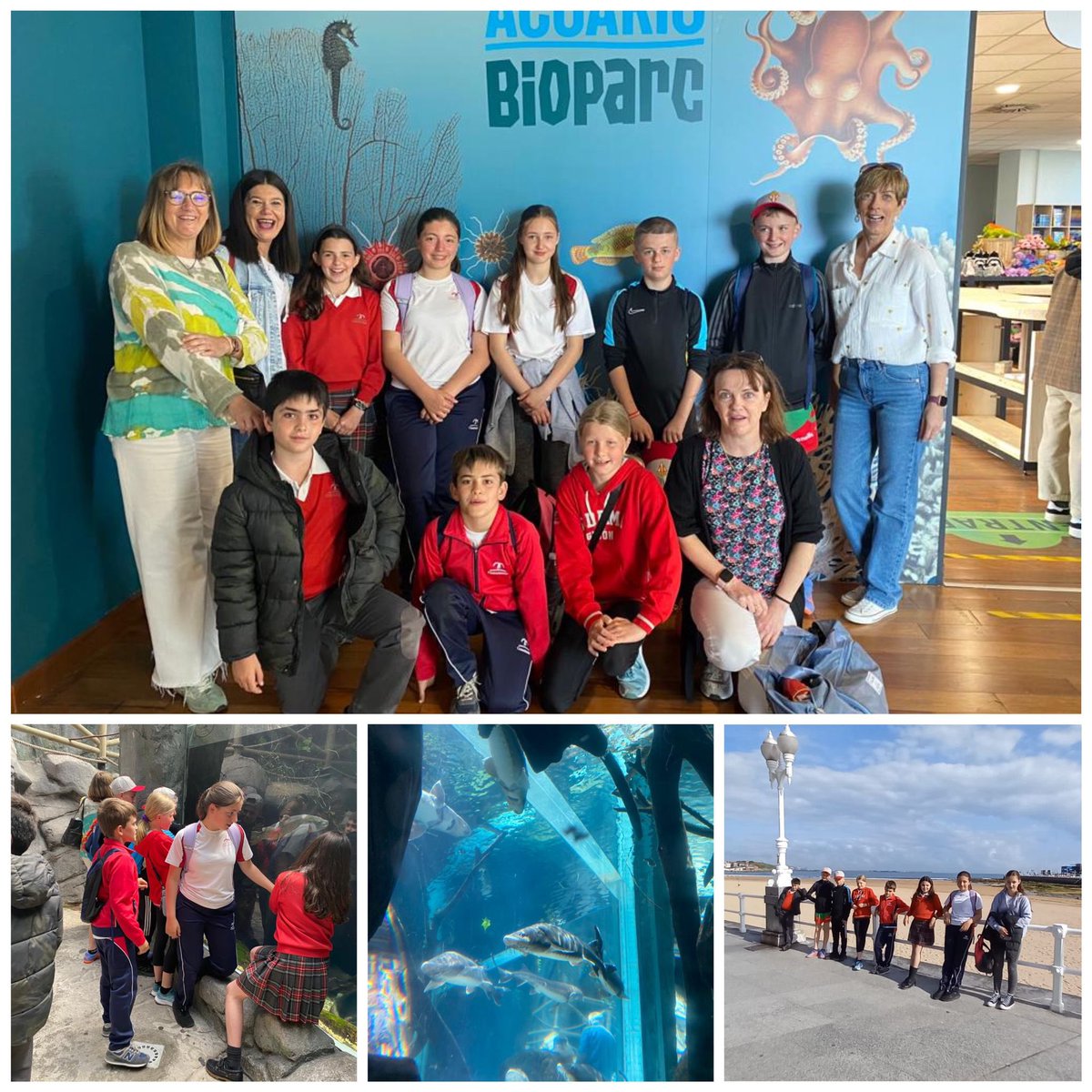 codemagijon's tweet photo. Last day in Spain. We were so happy with you here. Hopefully we’ll see you soon!@Erasmus_Project @EUErasmusPlus #KA229 BEtter TOgether #BETO in @killeen_n, Ireland 🇮🇪 @sepiegob @Leargas #CodemaPrimaria #CodemaEuropa 🇪🇺 @cmfsantiago @PedagogicosS @EC_Asturias @loretollera https://t.co/T2rDqmXaJ9