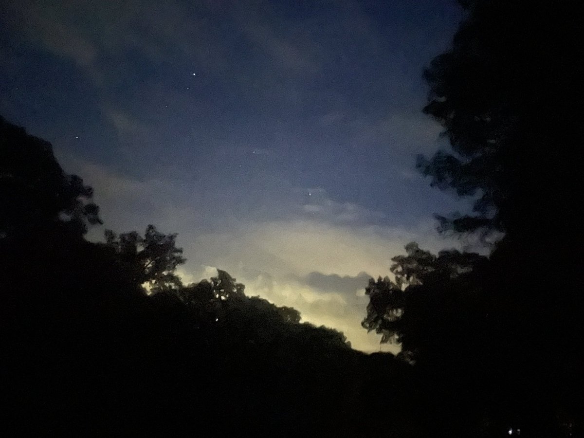 Sara Vozel tweet media