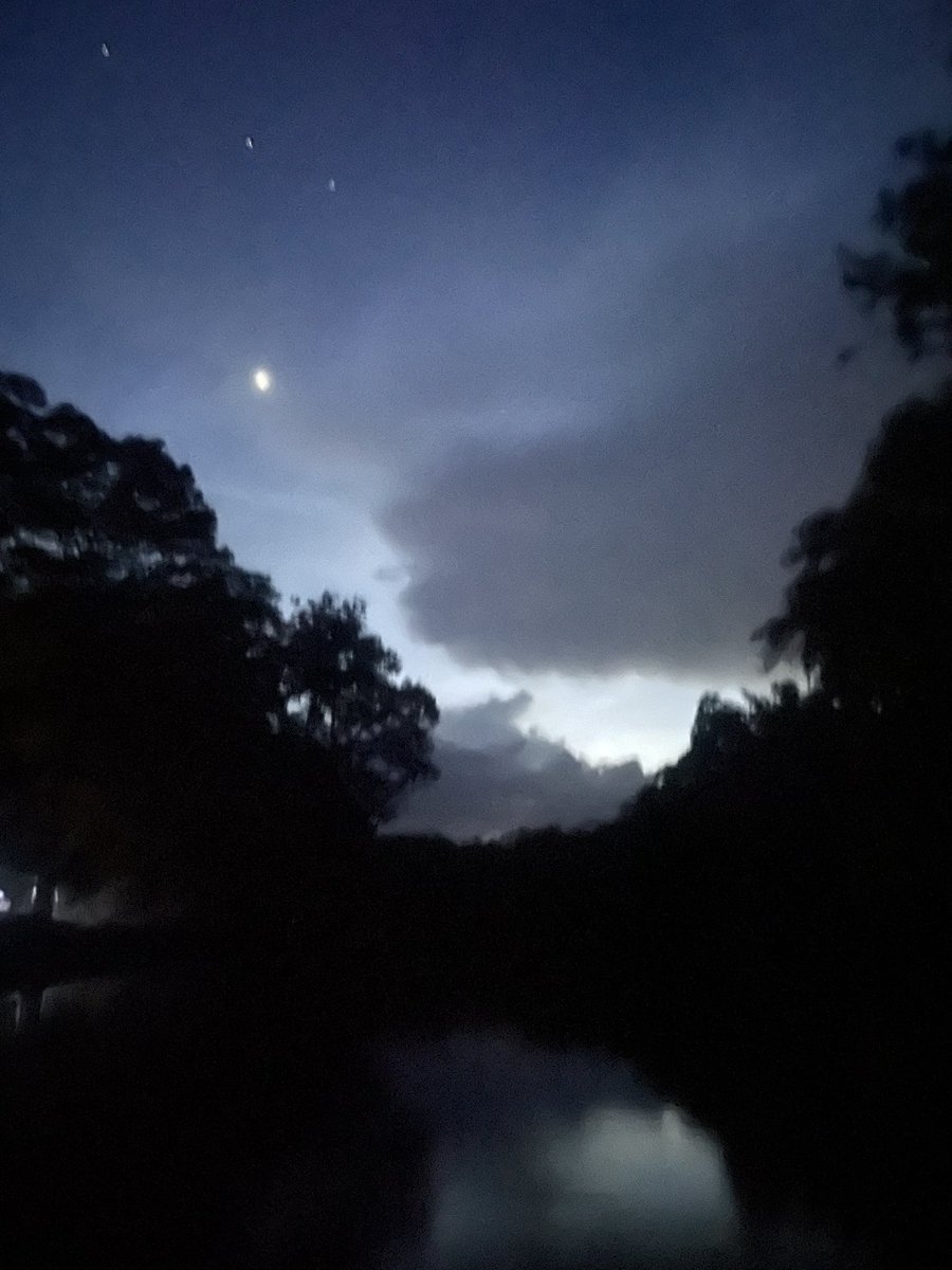 Sara Vozel tweet media