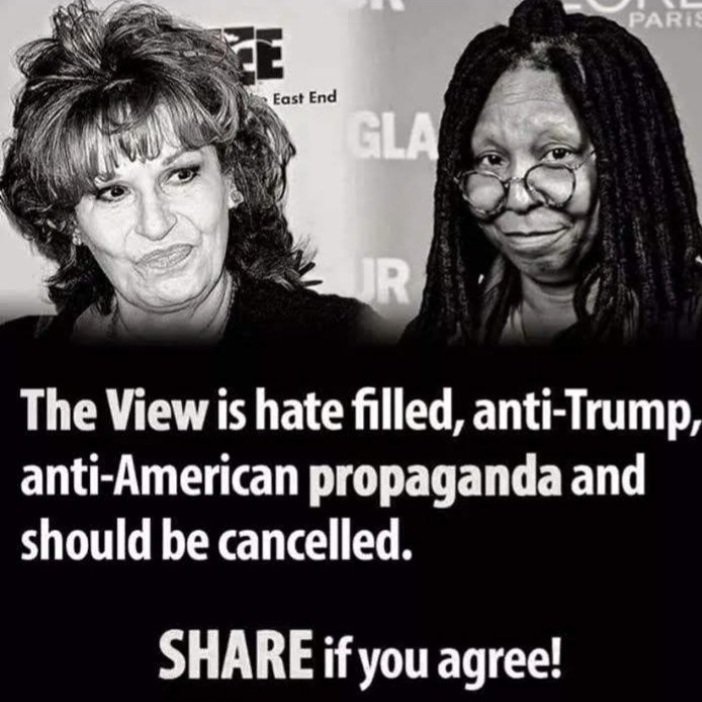 pyramidfire on Twitter "RT AnnaMargaretAp1 BOYCOTT THE VIEW🙋♀️