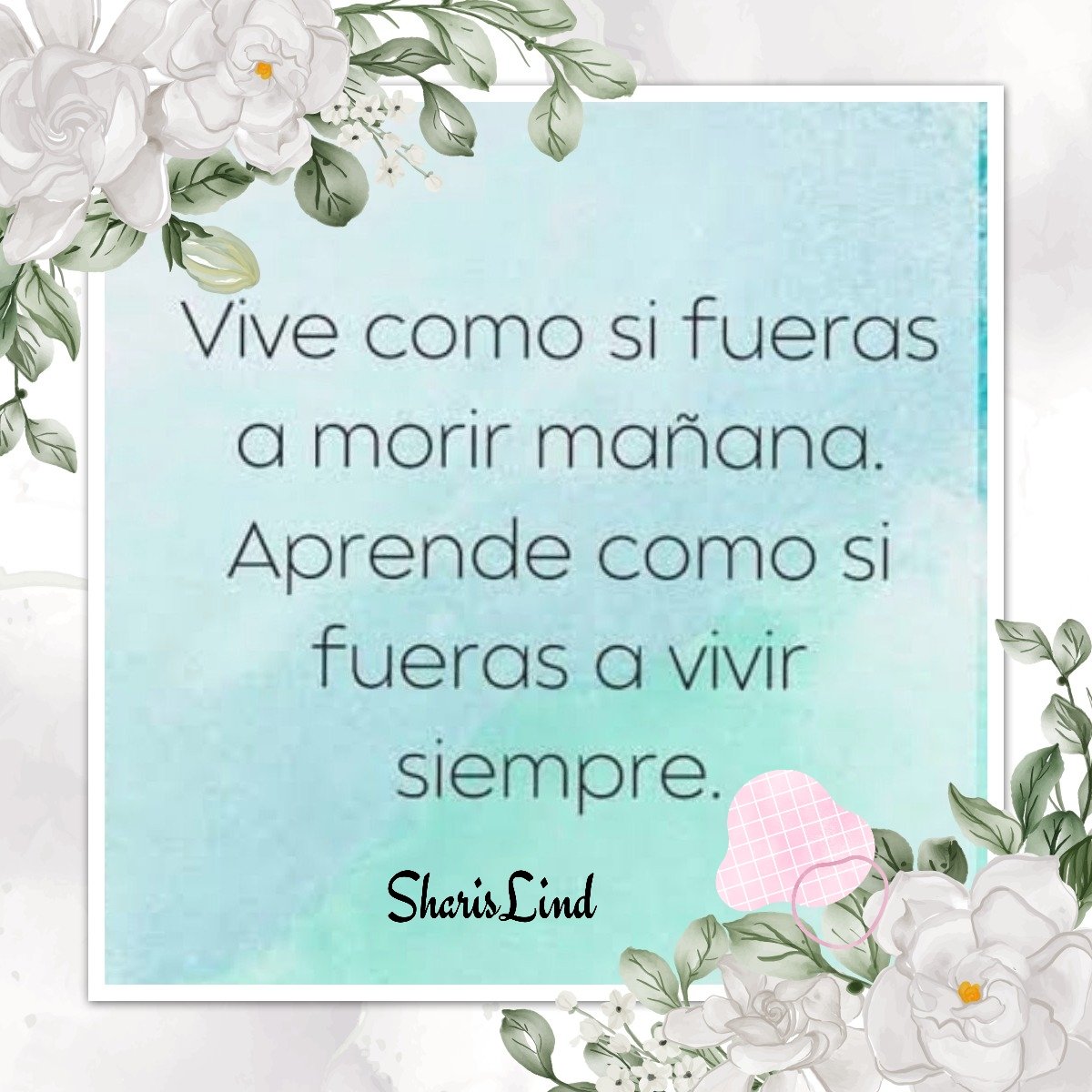 #FelizViernes a todos 🌼