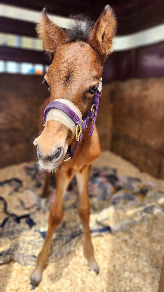 Mike | Hero Krapht tweet media