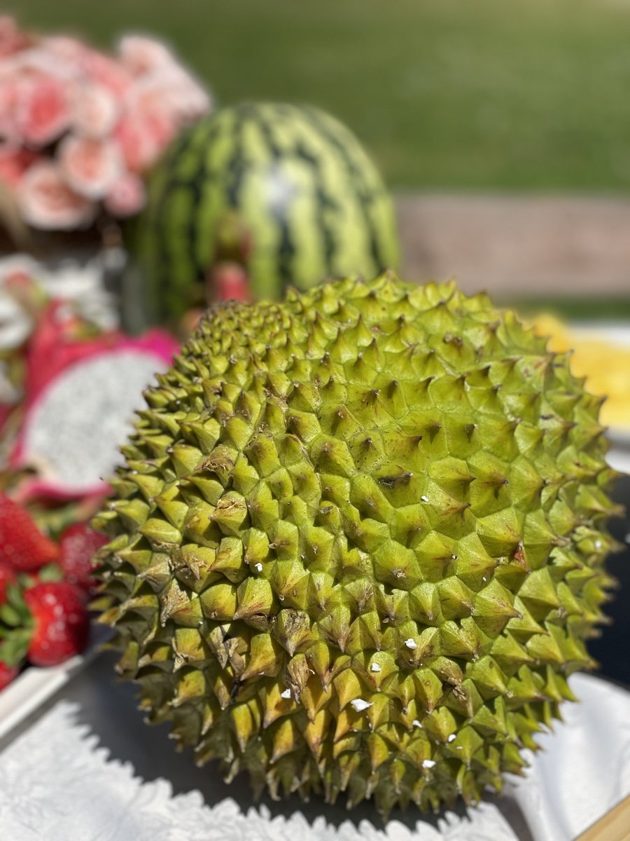 Augļu Serviss tweet media