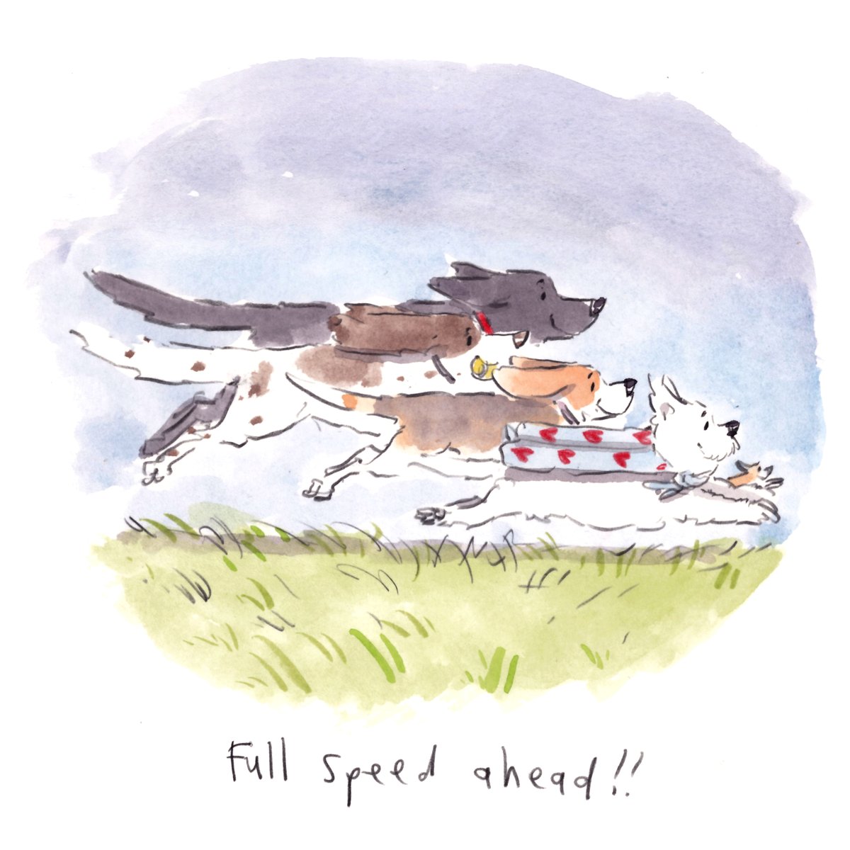Good night, lovely people and lovely dogs.
I'm wishing you the very best for a super wonderful weekend. 
Sleep well and sweet dreams. 
#hoorayfordogs #springer #labrador #beagle #westie #redsquirrel #fullspeedahead