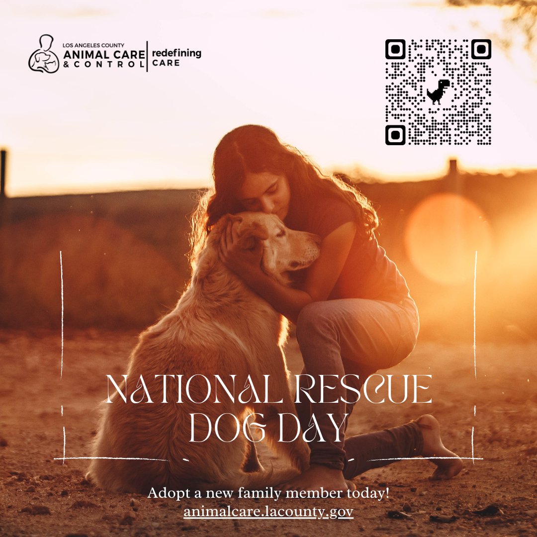 LACoAnimalCare's tweet photo. 🐾 Happy National Rescue Dog Day! 🐶❤️

Visit our care centers today, your next pet is waiting for you 🐾🏠

#NationalRescueDogDay #AdoptDontShop #FindYourBestFriend https://t.co/Hvq0qtuCTk