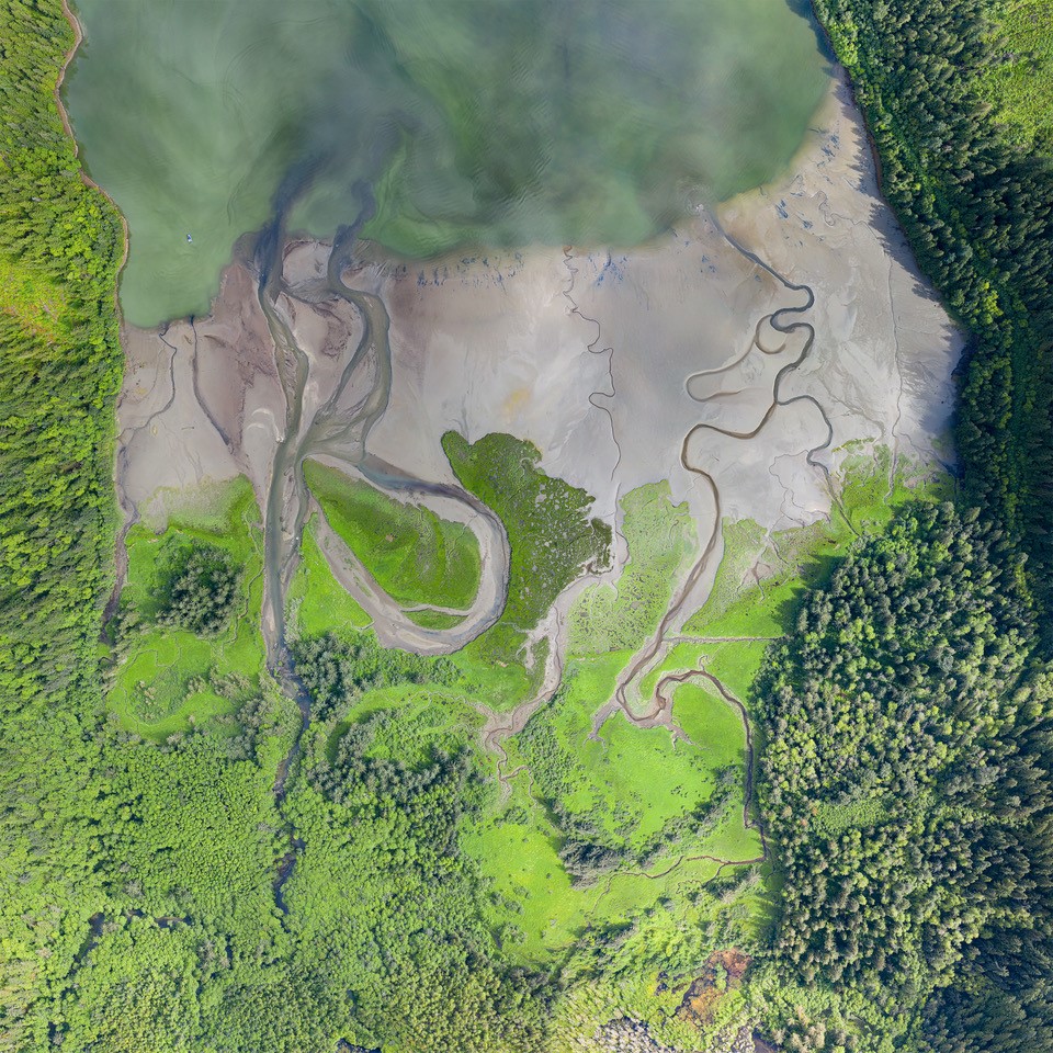 VI_LandManager's tweet photo. Considering May 22nd is International Day for Biodiversity we have recently uploaded a whole video series created in partnership with @HakaiInstitute  called "The Living Estuary" that highlights the incredible diversity of these special ecosystems. 
https://t.co/00S4KiEHcI https://t.co/bnNqqmmXYv
