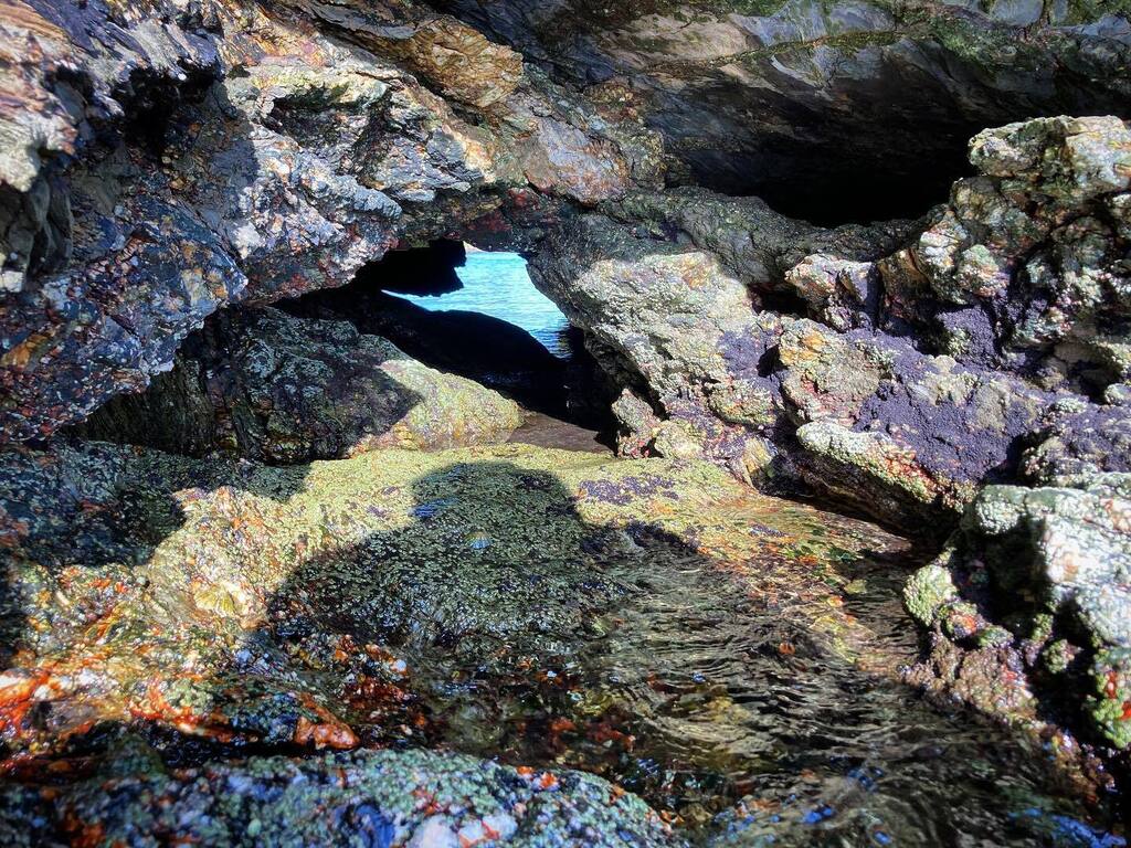 Dominick Tyler tweet media