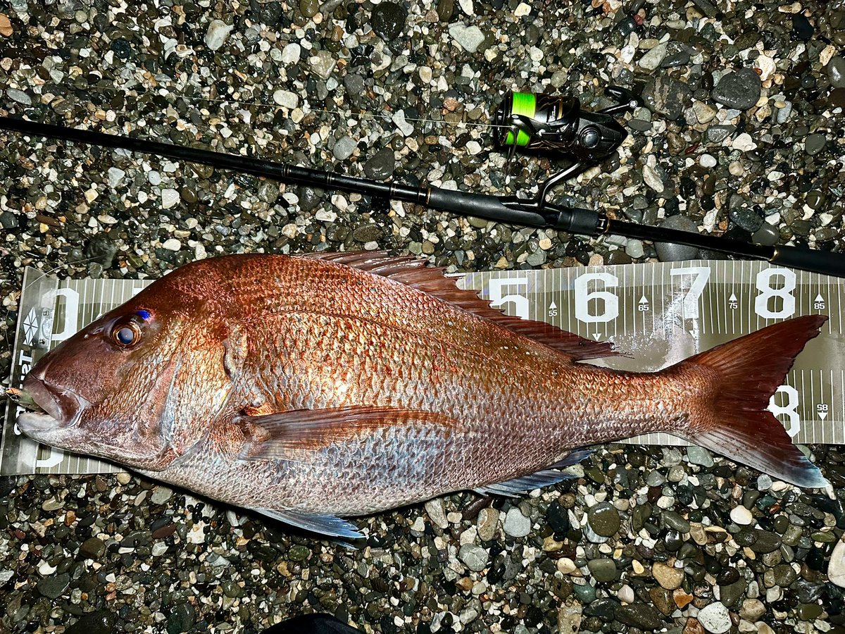釣り好きパパ つり具屋のガンコ親父が パステル色のロッドを推す 違和感