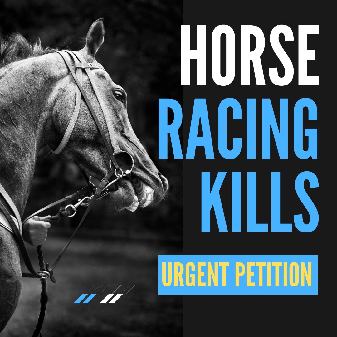 🚨 Calling #horselovers & #animaladvocates . #signpetition …#horseslivesareontheline 👉 bit.ly/3OnGOvO

WE NEED YOUR IMMEDATE HELP to reach 5000 #signatures today to #keepthepressureon #racehorsedeaths #horseracingkills #endthecruelty #kentuckyderbydeaths #deathderby