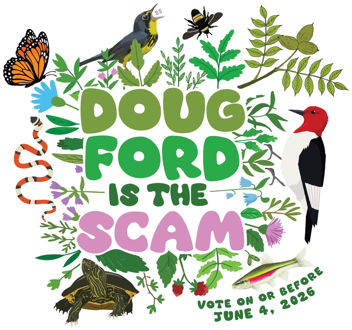 Happy #EndangeredSpeciesDay! By popular demand, I put this design up so folks can print it on clothing, stickers, etc. A play on a recent quote by Ontario’s Premier describing the #Greenbelt as “a scam”, it features several Species at Risk that live there
teepublic.com/t-shirt/454977…