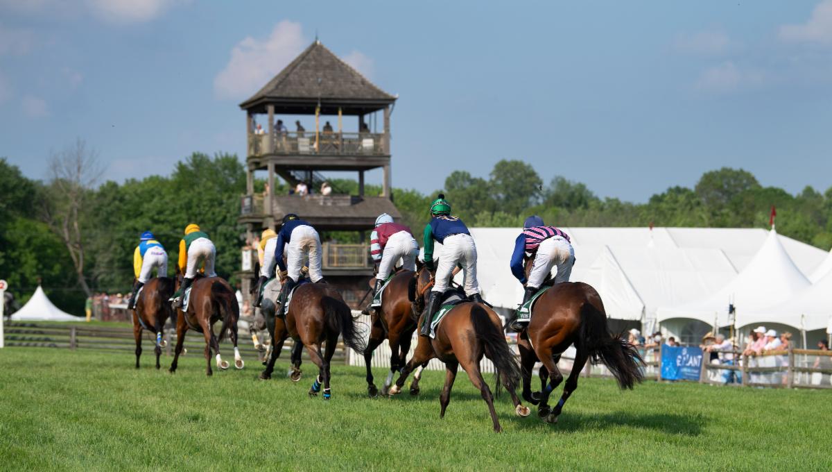 NSA (@jumpingwithnsa) on Twitter photo Radnor preview: The curtain comes down on the NSA Spring season on Saturday with the 92nd running of the Radnor Hunt Races in the picturesque Brandywine Valley of Chester County, Pa. conta.cc/43eCEun Radnor preview: The curtain comes down on the NSA Spring season on Saturday with the 92nd running of the Radnor Hunt Races in the picturesque Brandywine Valley of Chester County, Pa. conta.cc/43eCEun