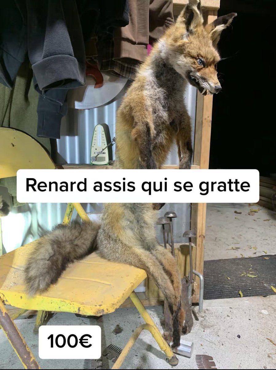 finessaka47's tweet photo. @kharif__ et toi ? https://t.co/rEcz9BqXBU