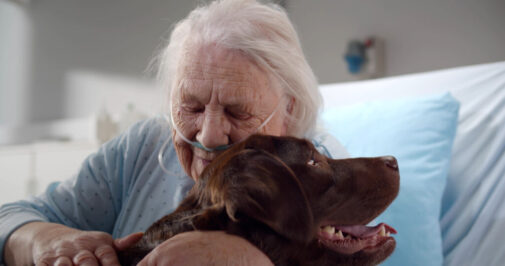 It’s common for stroke survivors to experience depression and aphasia. Animal-assisted therapy has shown many benefits in reducing the effects of both. Learn more: bit.ly/3pTGdYS

#AdvocateHealth
