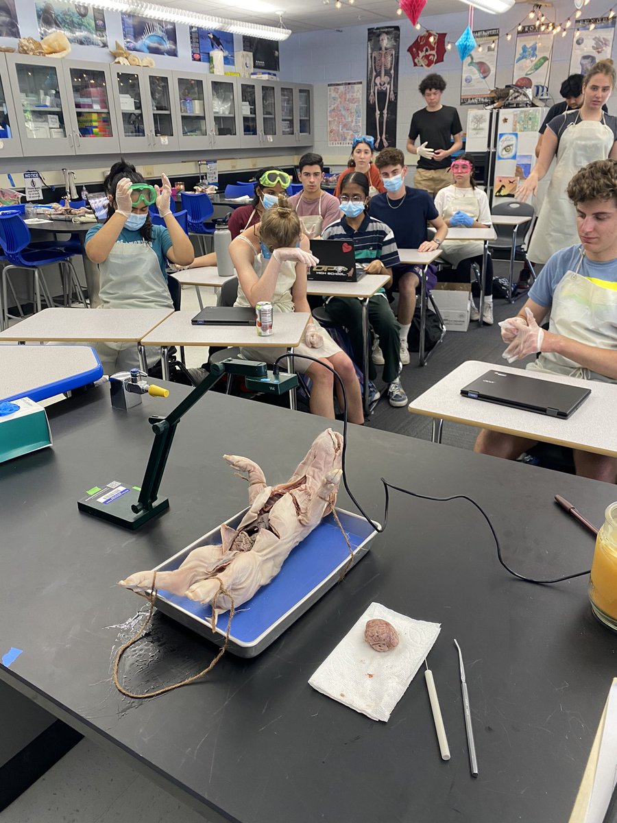 What’s happening today? Using #ipevo to help #students see what they are looking for in their dissections - then they are back at it! Thank you! #helpful <a href="/oakparkusd/">Oak Park USD</a> #tech <a href="/OPHSEagles/">Oak Park High School</a>