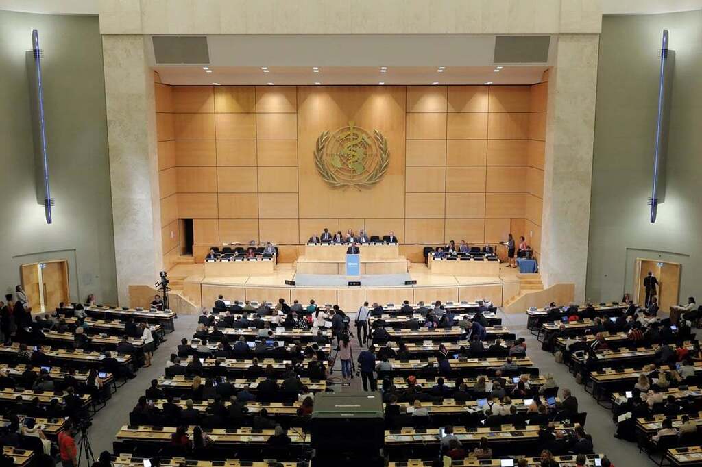 DayanClub's tweet photo. News from the WHO: Seventy-sixth World Health Assembly to focus on “saving lives, driving health for all” as WHO turns 75 https://t.co/MALy9RJmMy https://t.co/3yDSYGtkEn
