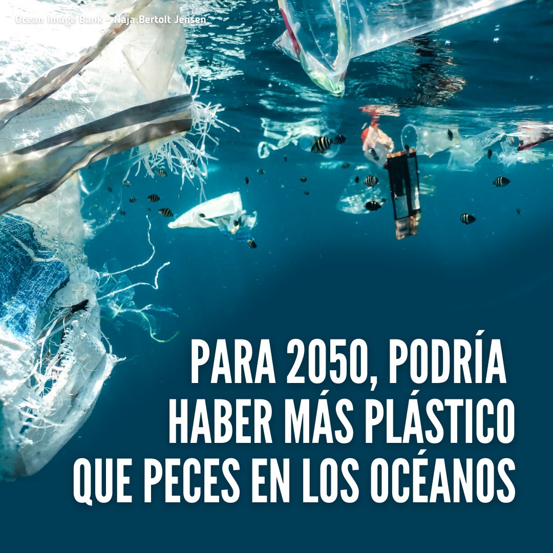 El plástico representa el 85% del total de los desechos que van a parar a los océanos.

Sin medidas urgentes, la cantidad de plástico en los mares se triplicará en los próximos 20 años.

#ActúaAhora para poner fin a la #ContaminaciónPorPlásticos: un.org/es/actnow