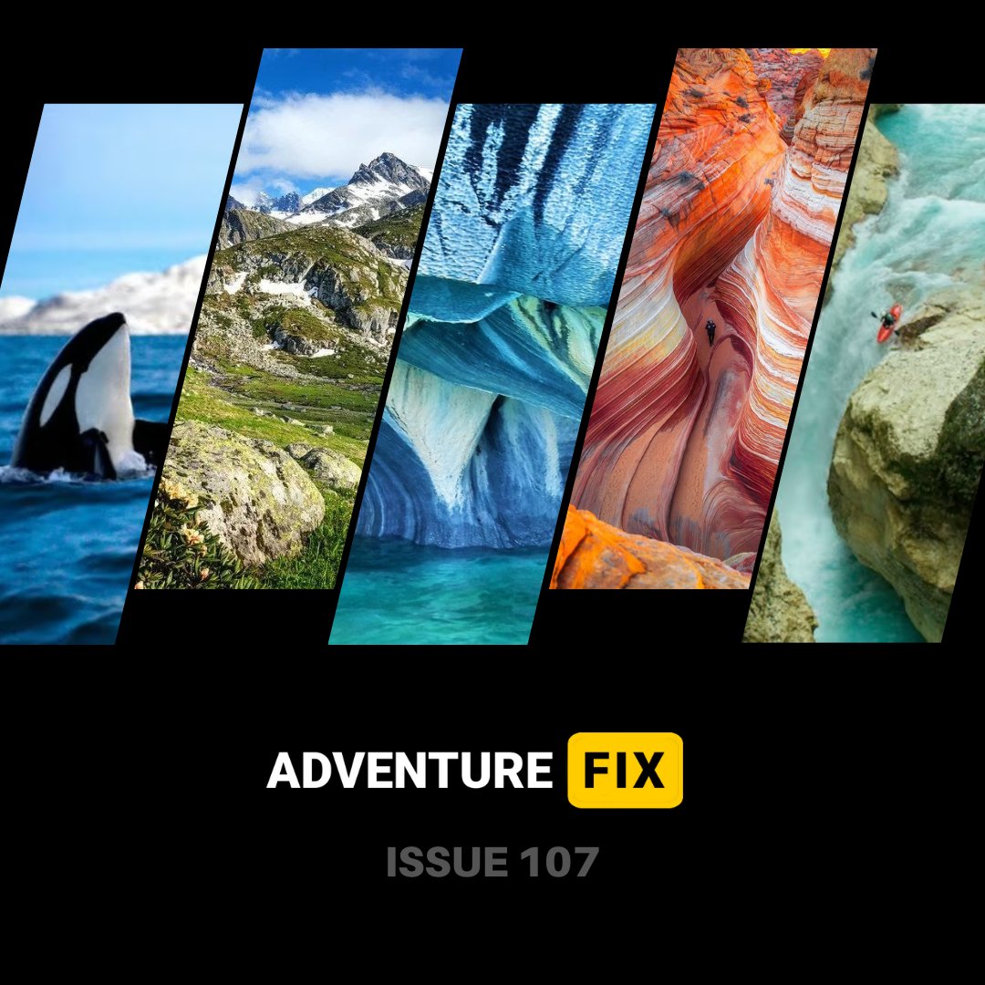 adventure_fix's tweet photo. Issue 107 is out! 

Patagonia’s marble caves, an icy orca encounter, Kaçkar Mountains trekking, and much more...

Photos by @expertvagabond, Kailey Wright, @karaandnate  &amp; @jjtrailwalker 

#adventurefix #adventuretravel #travelmagazine #adventuremagazine https://t.co/4EHBtrdLZT