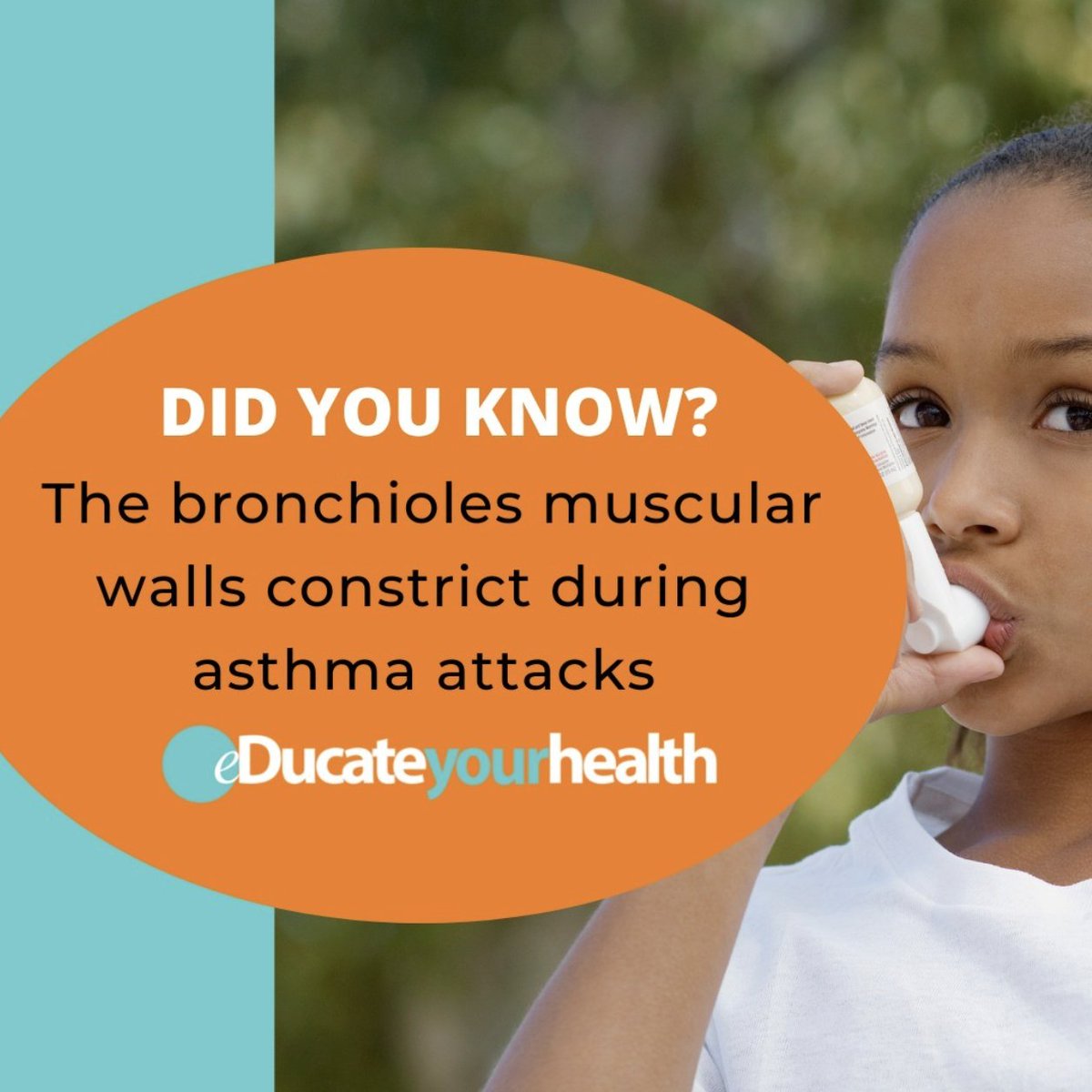 DID YOU KNOW The bronchioles muscular walls constrict during asthma attacks?

Asthma is common as 10.8% of Canadians have asthma. It is also one of the leading reasons for childhood hospitalizations.
educateyourhealth.com/patients/asthm…

#yourhealthmatters
#educateyourhealth
#healthyheart