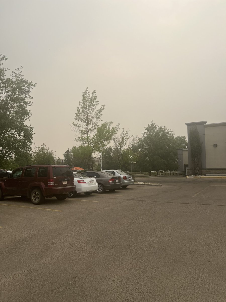 shellhun44166's tweet image. The smoke here is crazy it’s hot and Smokey can’t go out in this much , I’m doing errands but Ty has to stay inside .. #albertafires #stinks