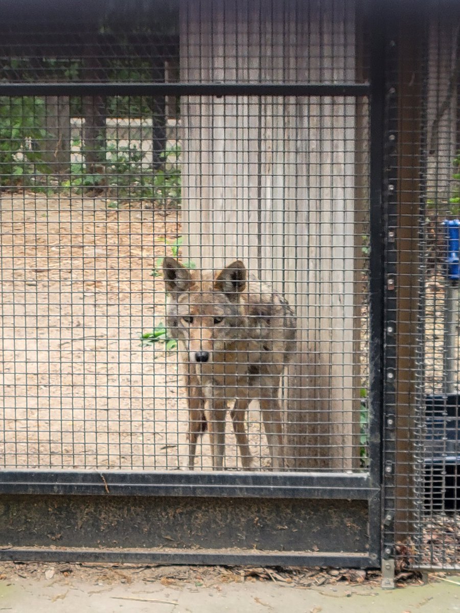 Jean Hribar tweet media