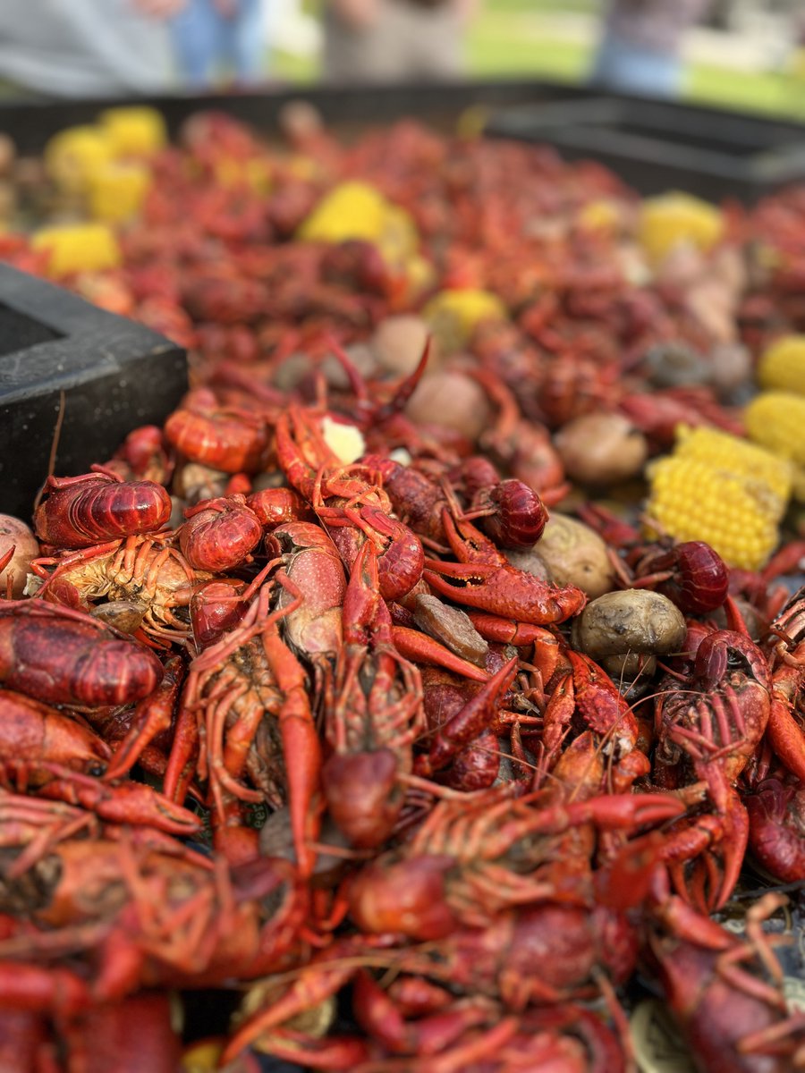 ICM_LLC's tweet photo. At ICM, we work hard but we also love to have fun. Our recent crawfish boil with employees and their families was a great chance to do that! 

#icmabetterwaytobuild #construction #teambuilding https://t.co/vxIqIjYwM8