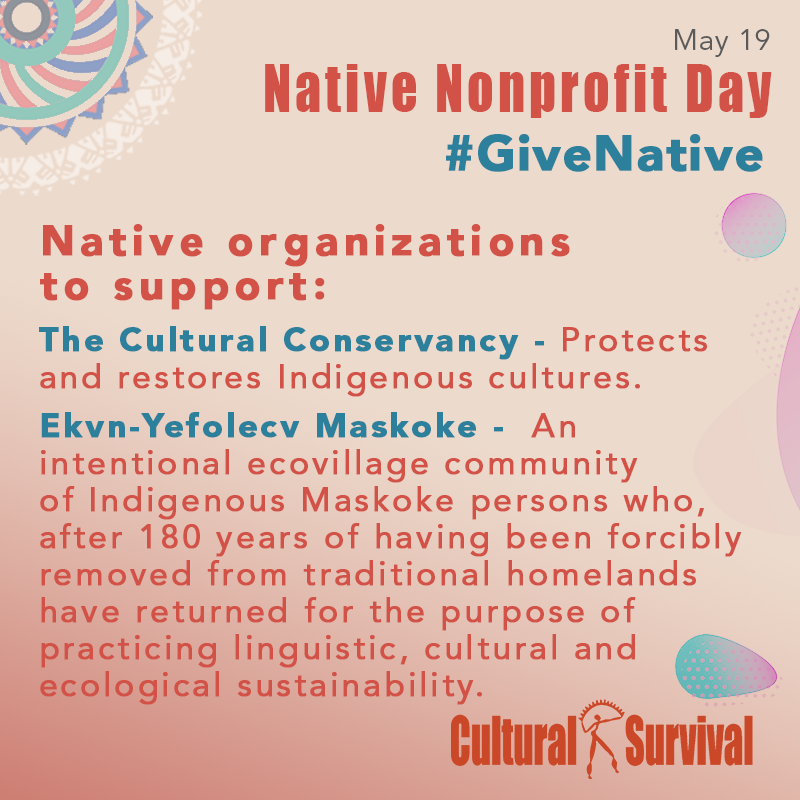 CSORG's tweet image. Support Native-led organizations working hard to improve health, well-being, and livelihoods and upholding the rights of Native American communities across the Indian country. #NativeNonprofitDay #GiveNative #SupportNativeLed #AmplifyingIndigenousVoices