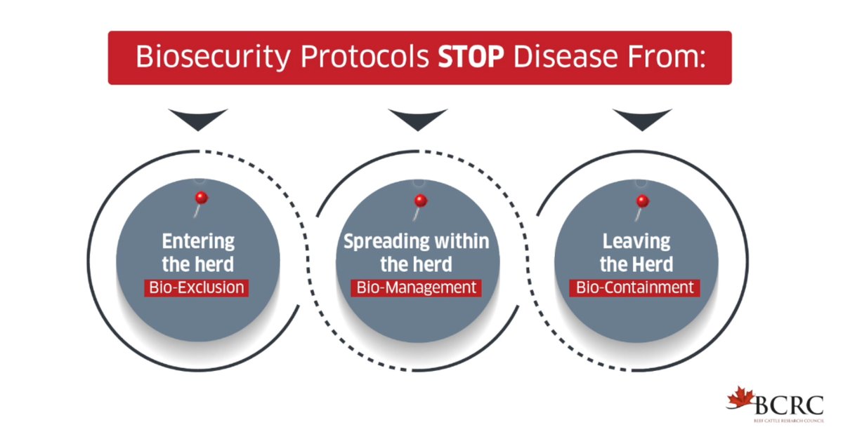 A brutal winter &amp; a mystery disease targeting new calves created a perfect storm for one family’s “winter from hell.” Watch this compelling video about “One Health” &amp; see how the family persevered to find a team of veterinary and public health experts: beefresearch.ca/blog/one-healt…