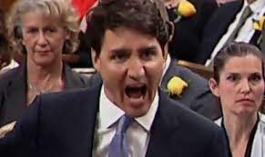 BoswellDoug's tweet photo. Yesterday Trudeau insulted Japan. Today it was Italy. And of course, everyday, he insults Canada. https://t.co/0TfHJYq8U4