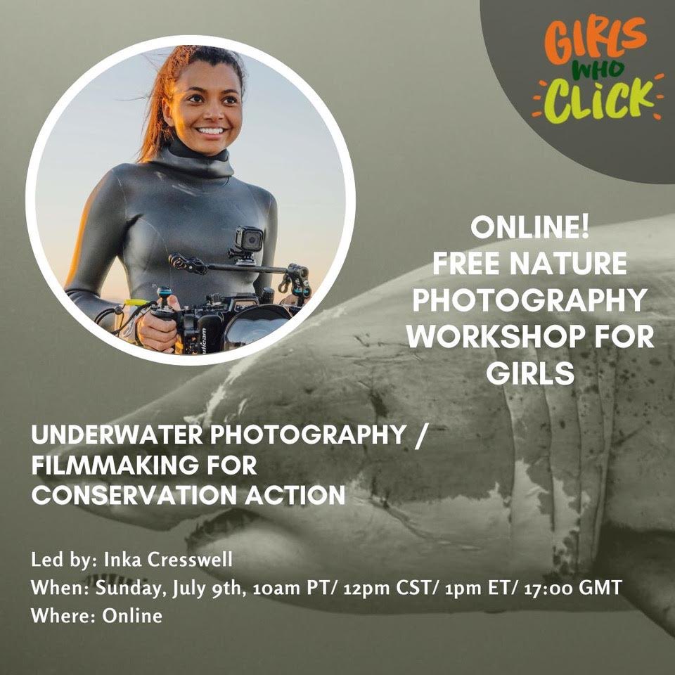 Do you know any teenage girls who are passionate about nature photography or filmmaking? 

I’m joining <a href="/GirlsWhoClick/">Girls Who Click</a> to run a free workshop for girls female identifying youth  (13-18 year olds).

Hope to see you July 9th!