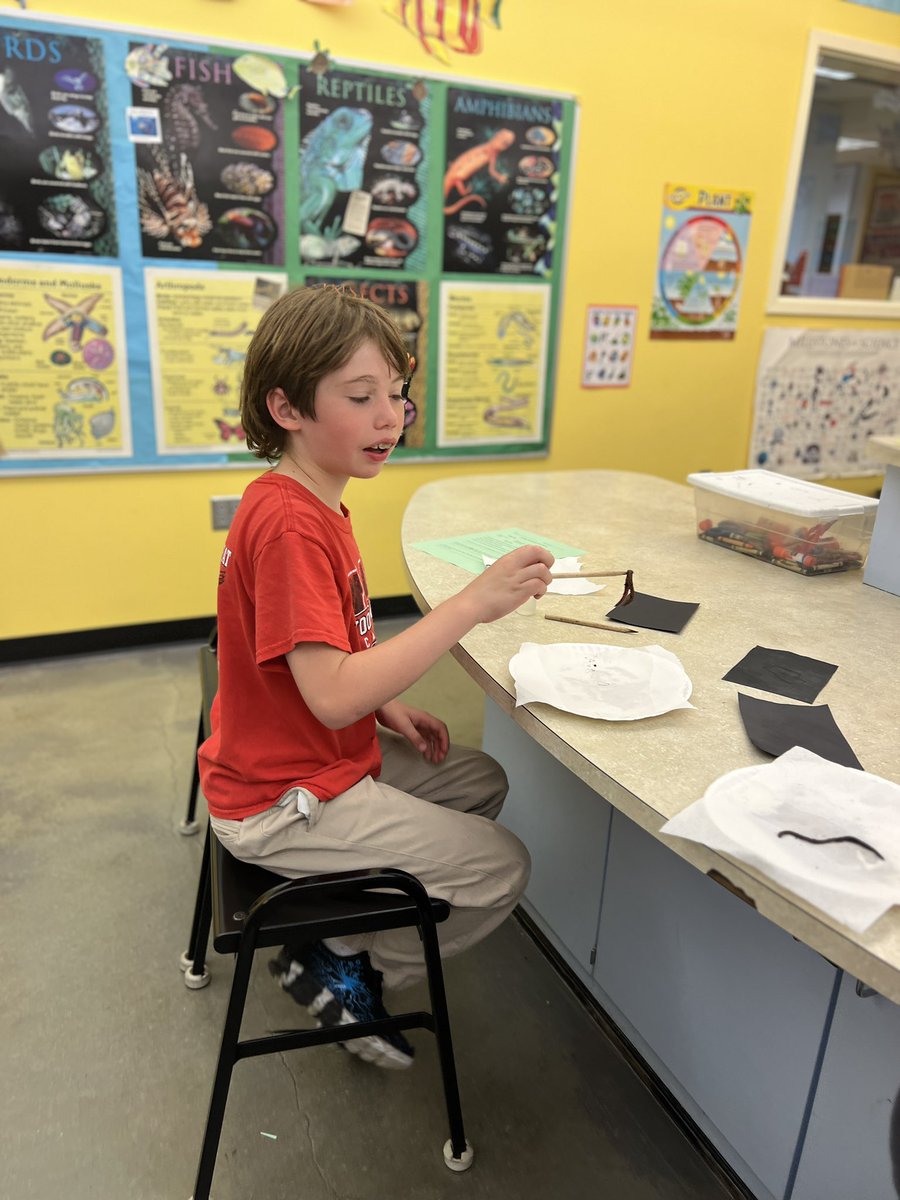 MsRaquelPaulino's tweet photo. "Wiggle, wiggle, wiggle! These little learners are having a wriggling good time discovering the fascinating world of worms 🐛📚🌱 #TeachingTinyScientists" 
@WoodwardAcademy  # https://t.co/Dk8M2Ej3BL